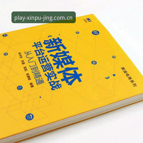 资深玩家亲述：新普京真实反馈与使用心得，从入门到精通的实战经验